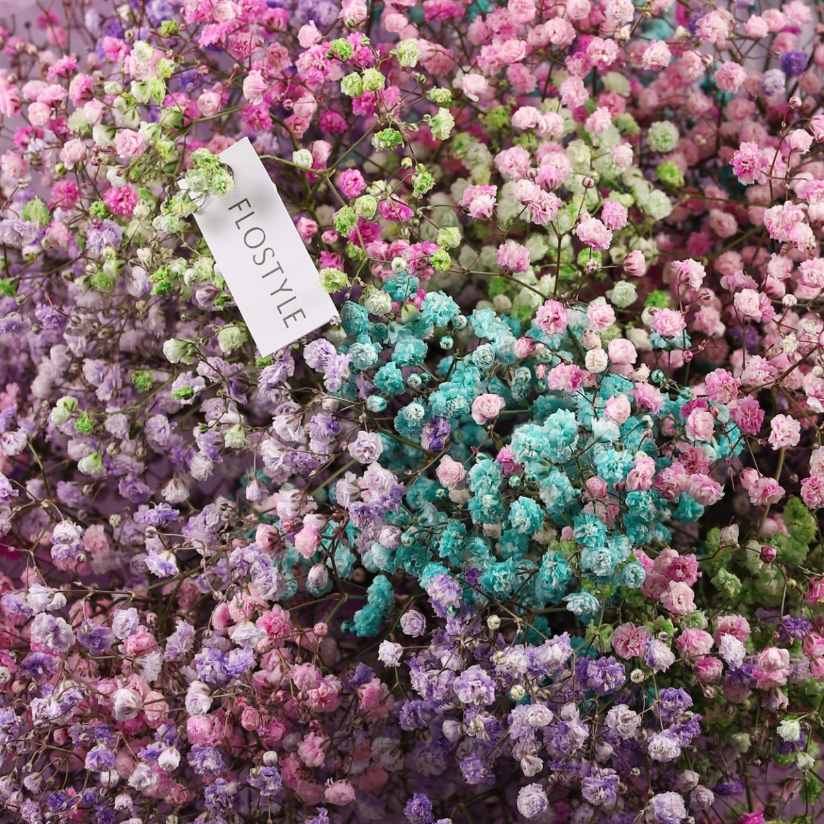 gipsofila miks 9 sht 7